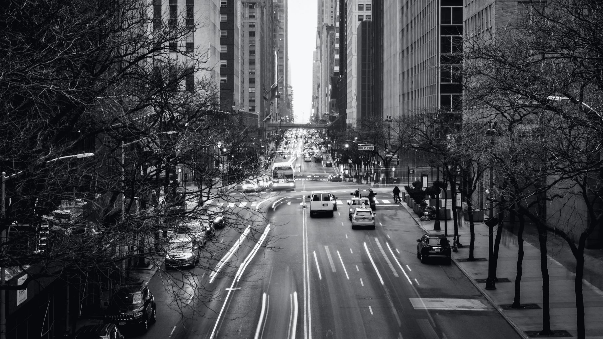 A Manhattan street from above, lined with bare trees.