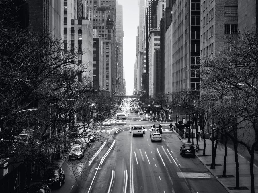 A Manhattan street from above, lined with bare trees.
